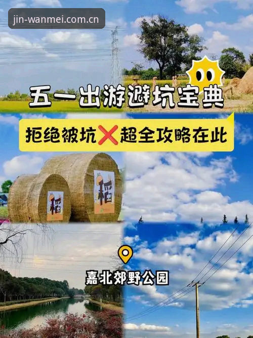 完美体育平台下载避坑指南：安卓安装与数据同步的那些门道